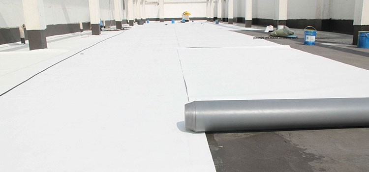 Thermoplastic Polyolefin Roofing Huntington Park